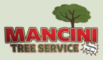 mancini tree service