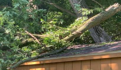 Professional Storm Damage Removal