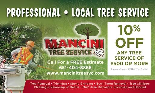 Mancini Tree Service